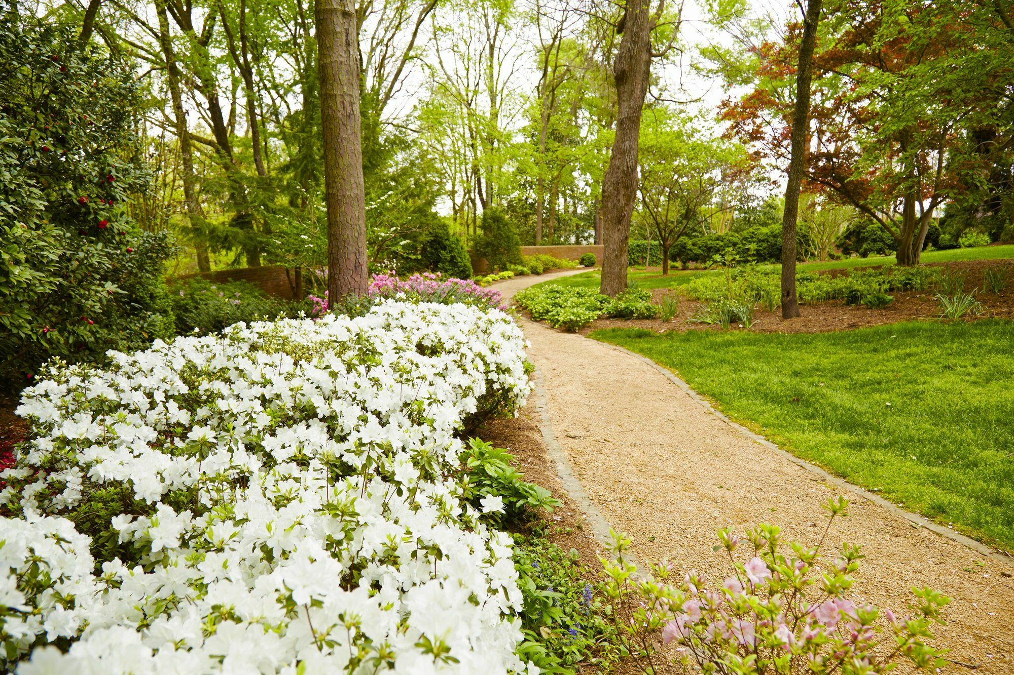 Rizzo Center, A Destination By Hyatt Hotel Chapel Hill Exterior photo